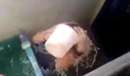 बहुत सारे स्पैम ने एक हिंदी में सेक्सी फिल्म मूवी काले आदमी को गधा प्रेमी समलैंगिक में बाढ़ कर दिया