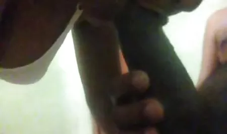 हंसमुख बेब काइली क्विन उसके कदम पहले से बंधुआ भाई fucks हिंदी सेक्सी फुल मूवी एचडी में