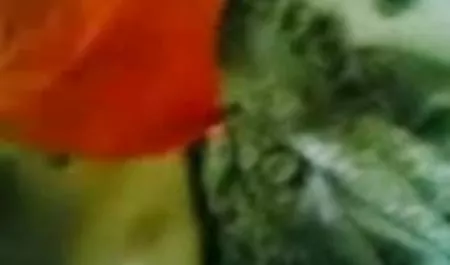 कवर के नीचे एचडी में सेक्सी मूवी मेरे पेट पर डिक और कमिंग बंद मरोड़ते हुए