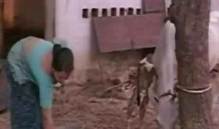 श्यामला चूत और गांड कुतिया हिंदी फिल्म सेक्सी एचडी में