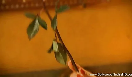 बस्टी ब्यूटी है सेक्स हिंदी में सेक्सी मूवी फिल्म