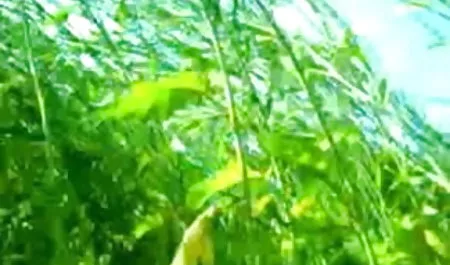 बस्टी स्टेपमोंम लेज़्बीयन बेकार सेक्सी वीडियो हिंदी मूवी में है युवा सौतेली बेटियों