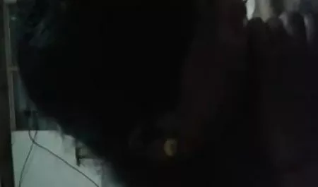 ट्रान्स गुदा में डिल्डो fucks सेक्सी वीडियो एचडी मूवी हिंदी में