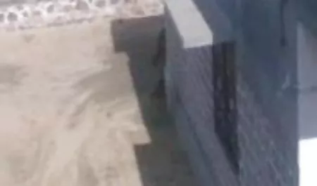 एंजेलीना सबसे अधिक सेक्सी मूवी फिल्म हिंदी में अंडे के लिए एक डिक बेकार है